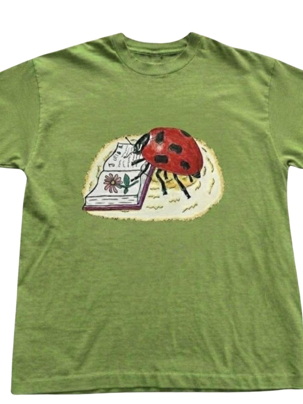 Gildan Light Green Short Sleeve Tee with Red Ladybug Graphic, Gift For Her, Him
